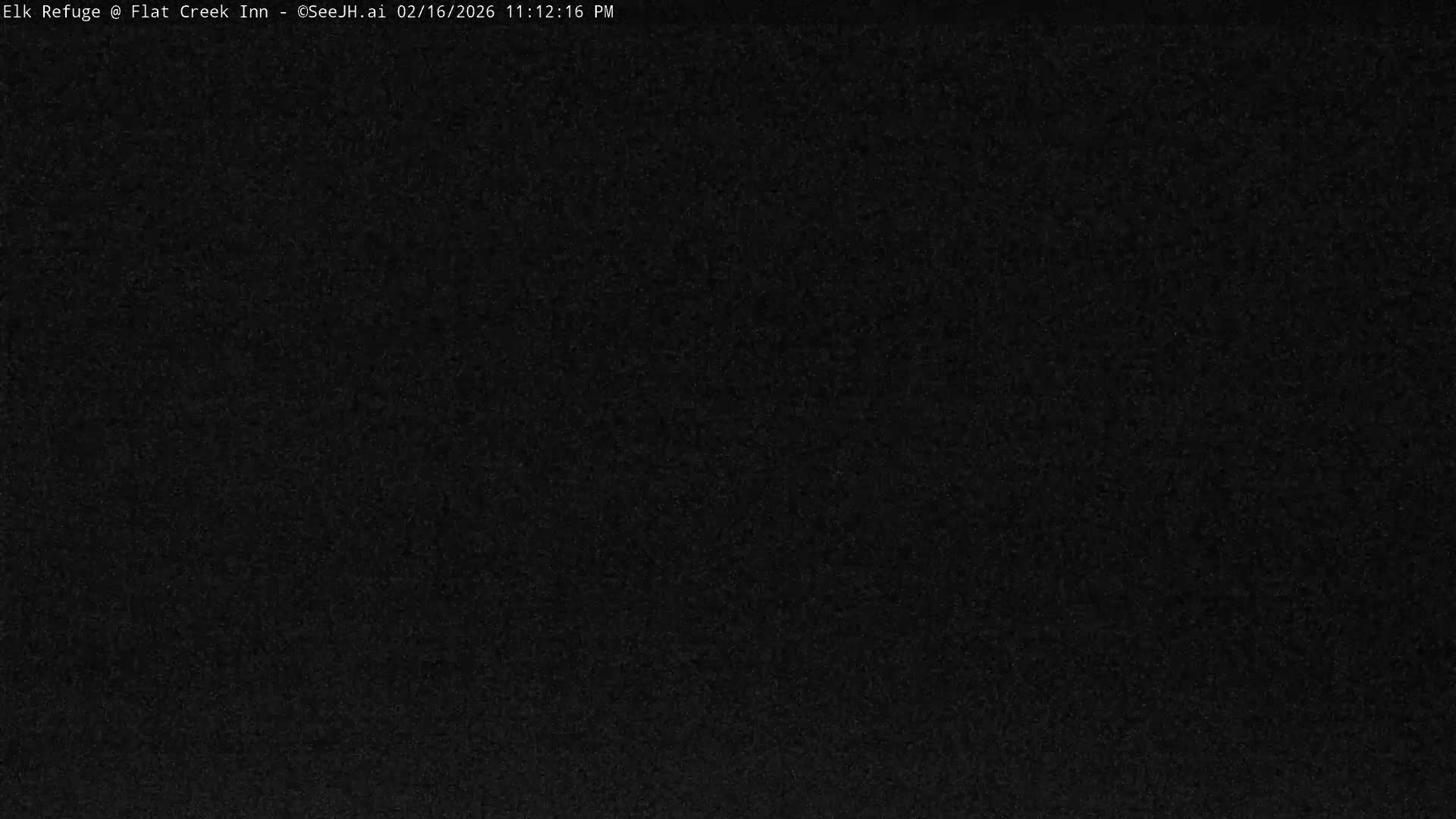 Jackson, Elk Refuge & Teton Mountains from Flat Creek Inn Live Cam - Jackson, Teton, Wyoming, USA