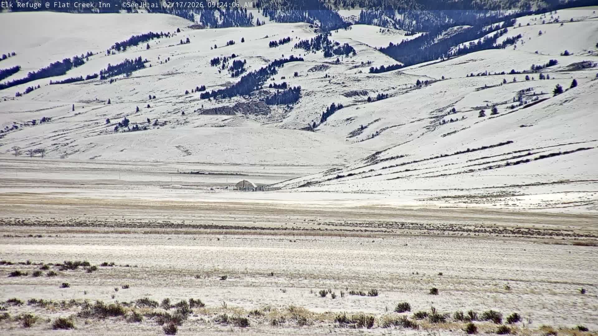 Jackson, Elk Refuge & Teton Mountains from Flat Creek Inn Live Cam - Jackson, Teton, Wyoming, USA
