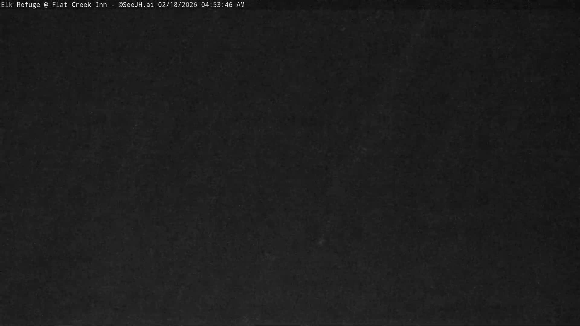 Jackson, Elk Refuge & Teton Mountains from Flat Creek Inn Live Cam - Jackson, Teton, Wyoming, USA
