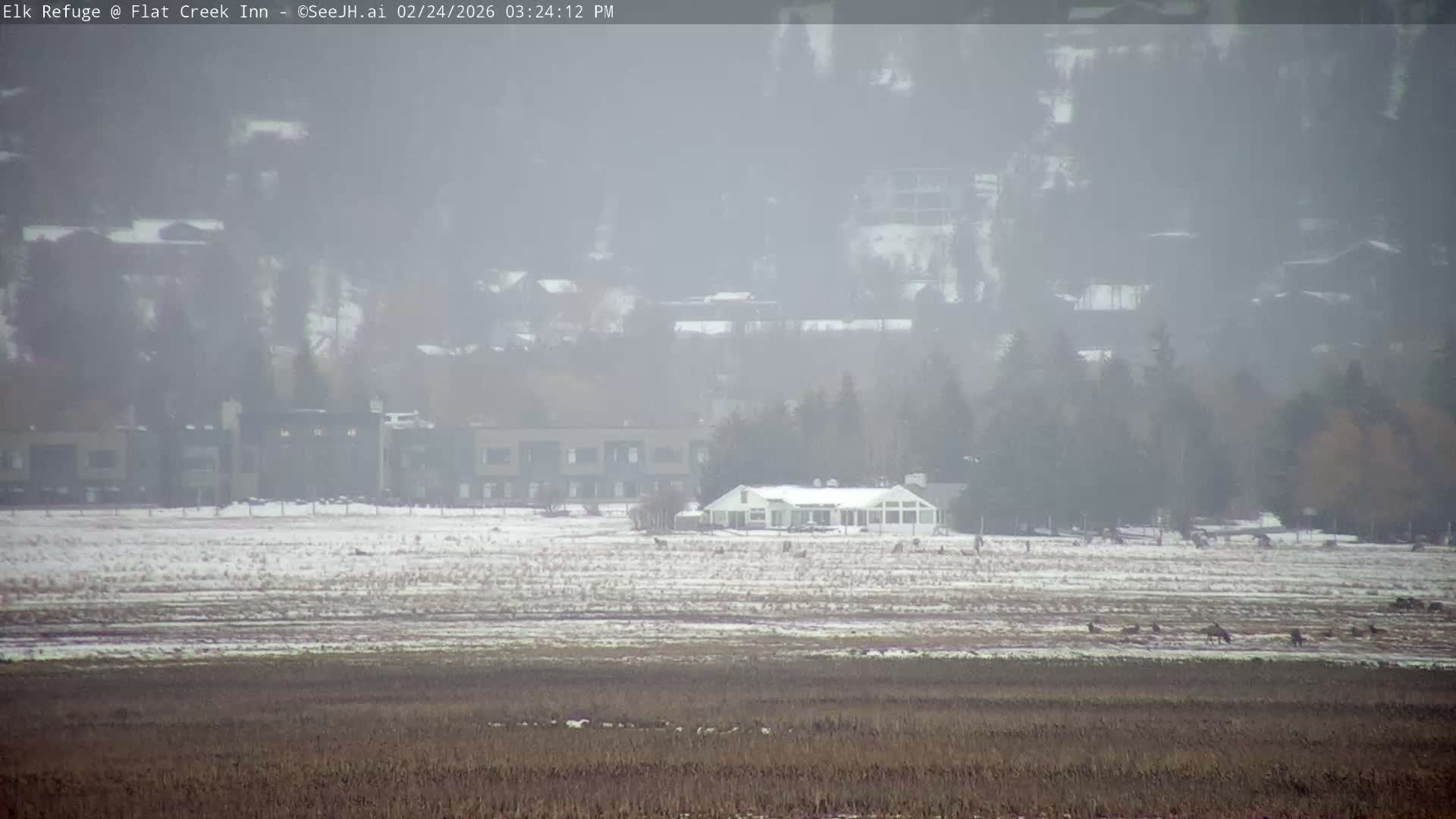 Jackson, Elk Refuge & Teton Mountains from Flat Creek Inn Live Cam - Jackson, Teton, Wyoming, USA
