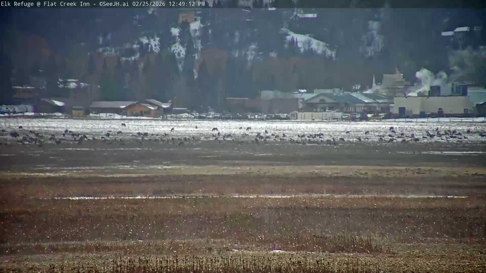 Jackson, Elk Refuge & Teton Mountains from Flat Creek Inn Live Cam - Jackson, Teton, Wyoming, USA