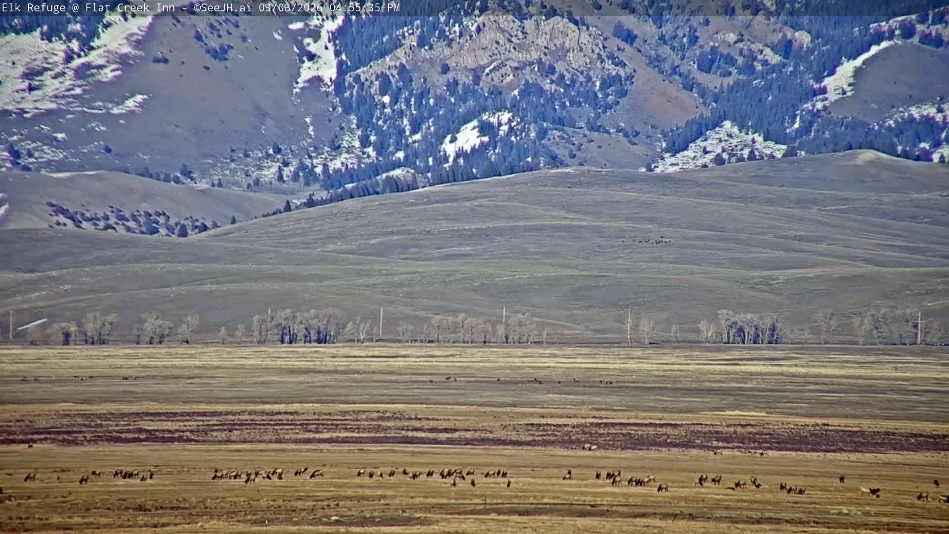 Jackson, Elk Refuge & Teton Mountains from Flat Creek Inn Live Cam - Jackson, Teton, Wyoming, USA