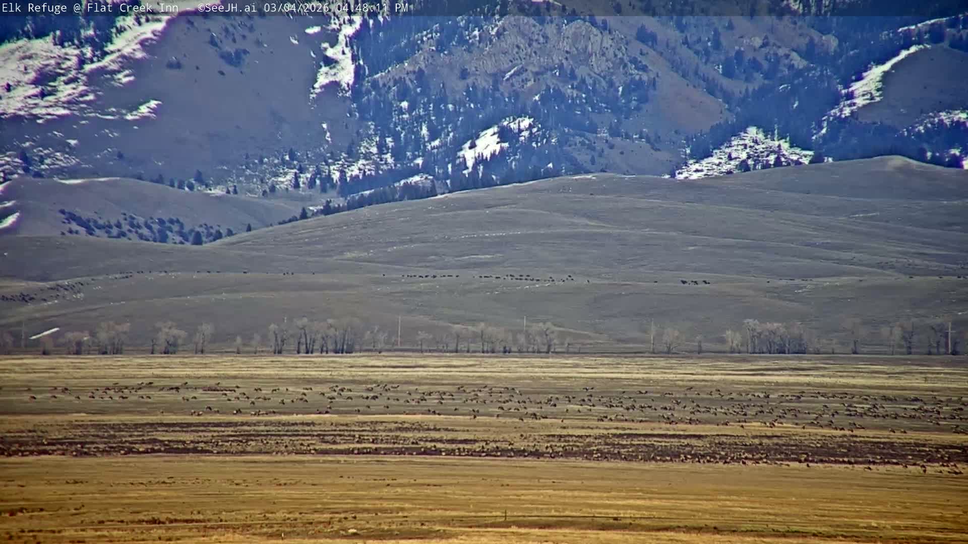 Jackson, Elk Refuge & Teton Mountains from Flat Creek Inn Live Cam - Jackson, Teton, Wyoming, USA