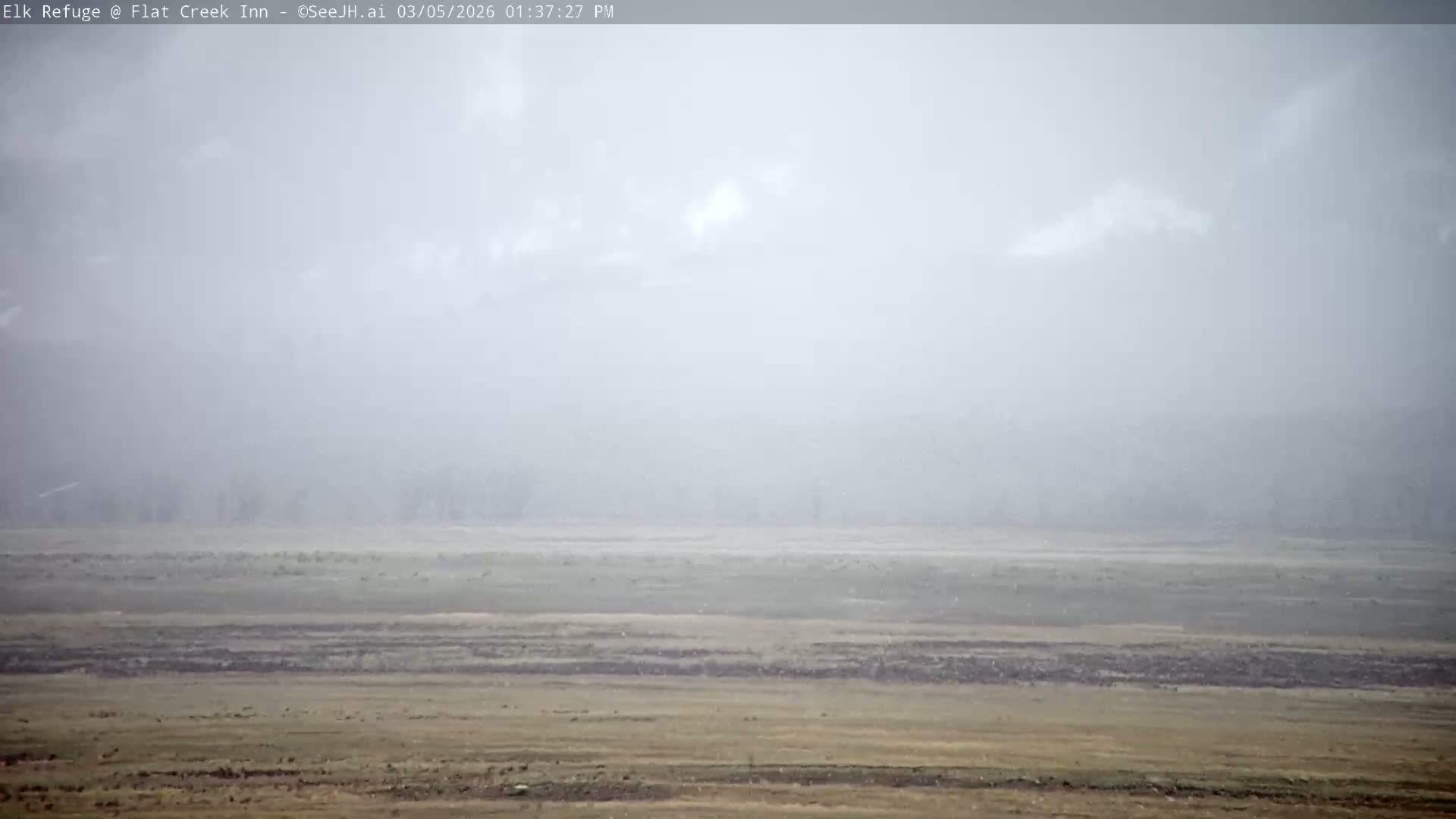 Jackson, Elk Refuge & Teton Mountains from Flat Creek Inn Live Cam - Jackson, Teton, Wyoming, USA