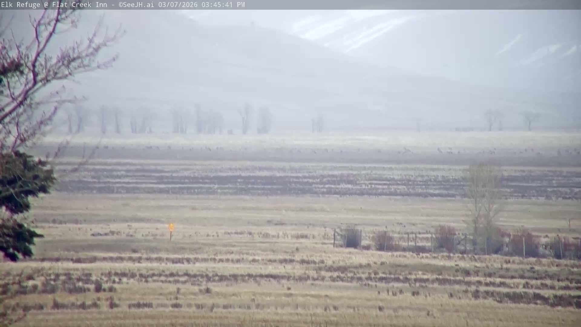 Jackson, Elk Refuge & Teton Mountains from Flat Creek Inn Live Cam - Jackson, Teton, Wyoming, USA