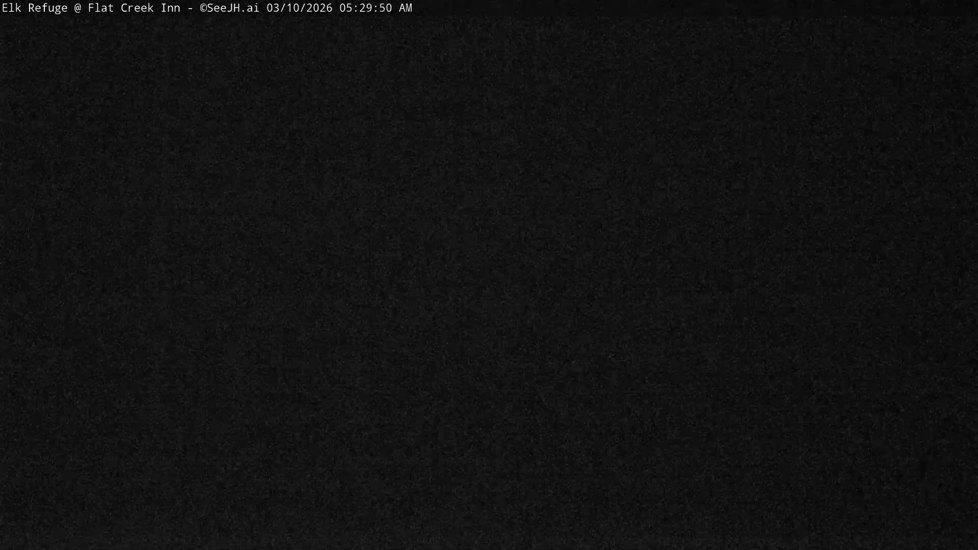 Jackson, Elk Refuge & Teton Mountains from Flat Creek Inn Live Cam - Jackson, Teton, Wyoming, USA