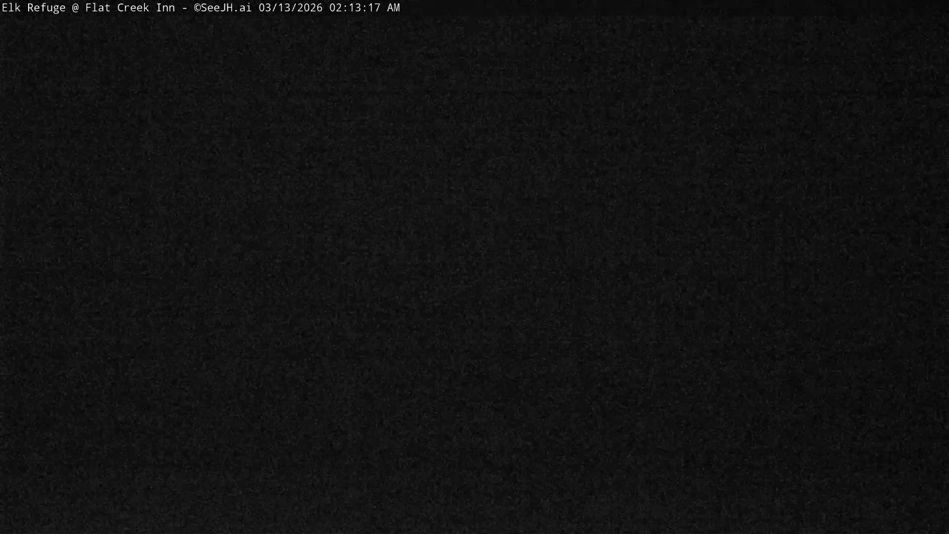 Jackson, Elk Refuge & Teton Mountains from Flat Creek Inn Live Cam - Jackson, Teton, Wyoming, USA