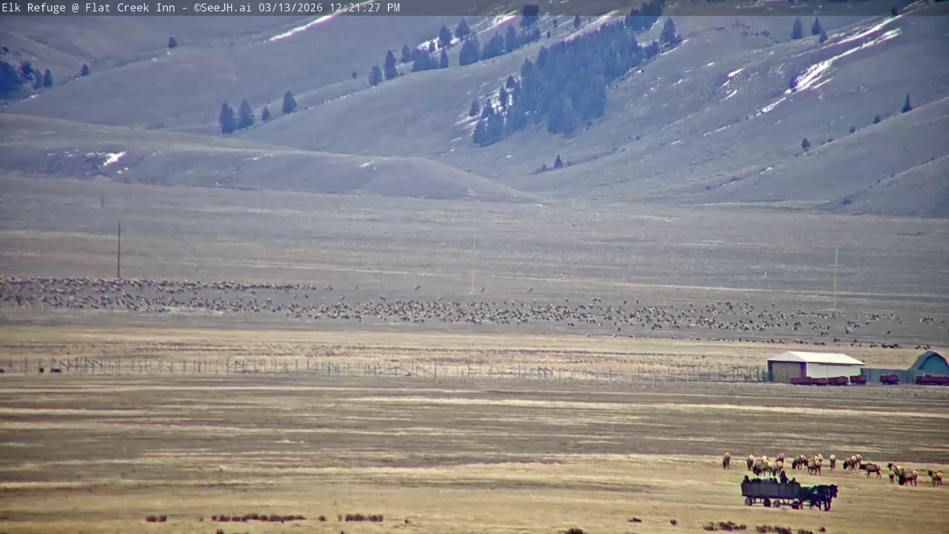 Jackson, Elk Refuge & Teton Mountains from Flat Creek Inn Live Cam - Jackson, Teton, Wyoming, USA