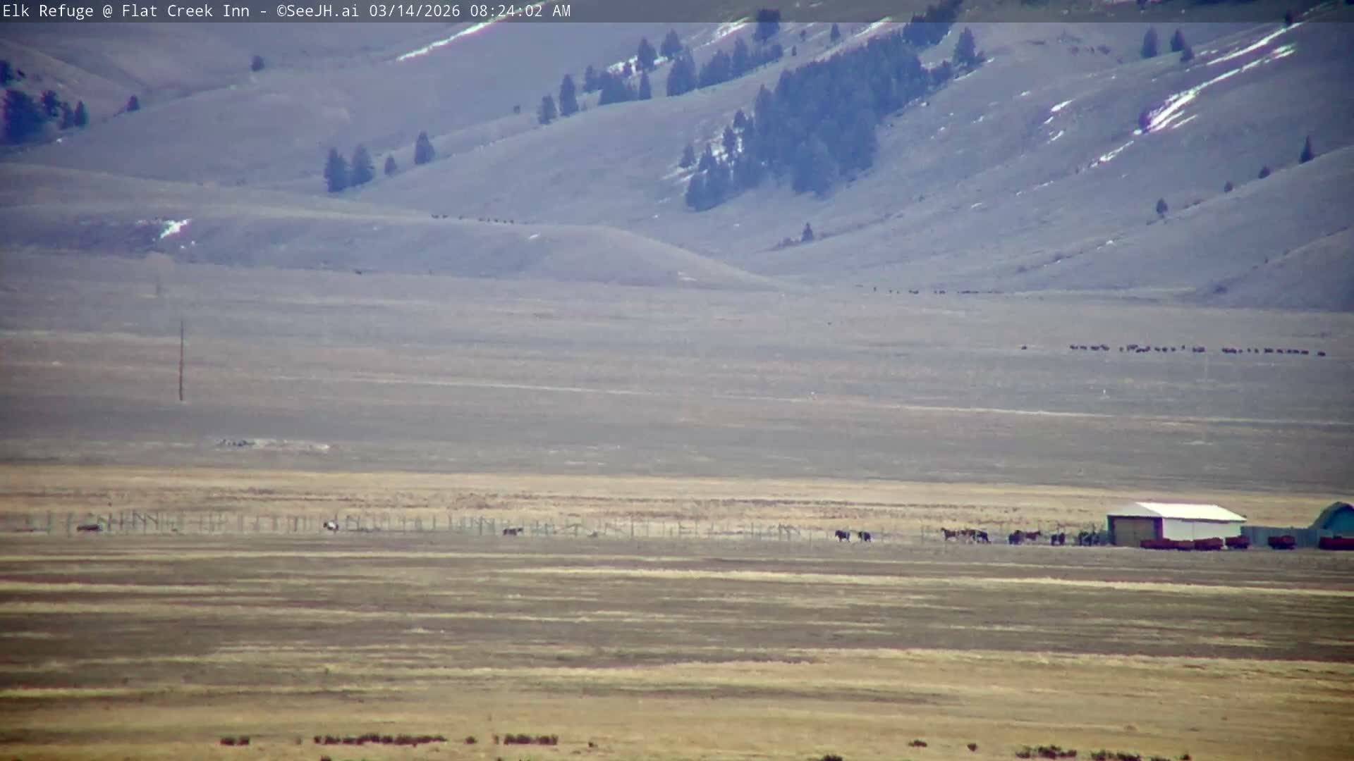 Jackson, Elk Refuge & Teton Mountains from Flat Creek Inn Live Cam - Jackson, Teton, Wyoming, USA