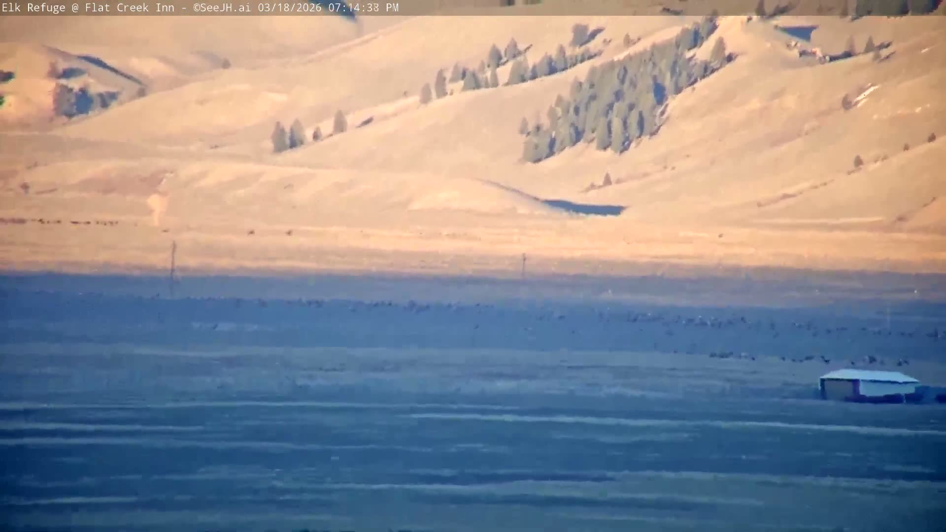 Jackson, Elk Refuge & Teton Mountains from Flat Creek Inn Live Cam - Jackson, Teton, Wyoming, USA