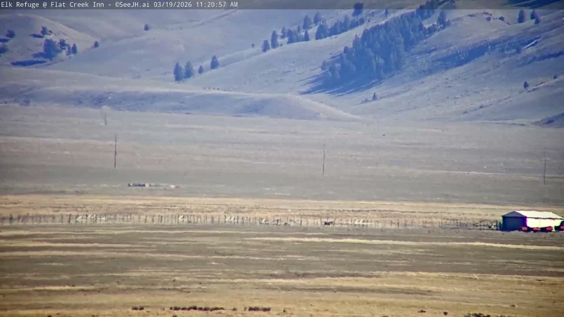 Jackson, Elk Refuge & Teton Mountains from Flat Creek Inn Live Cam - Jackson, Teton, Wyoming, USA