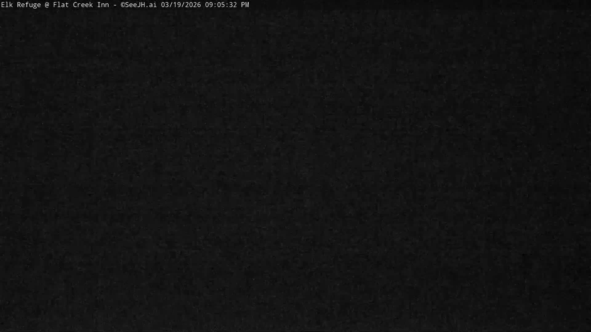 Jackson, Elk Refuge & Teton Mountains from Flat Creek Inn Live Cam - Jackson, Teton, Wyoming, USA