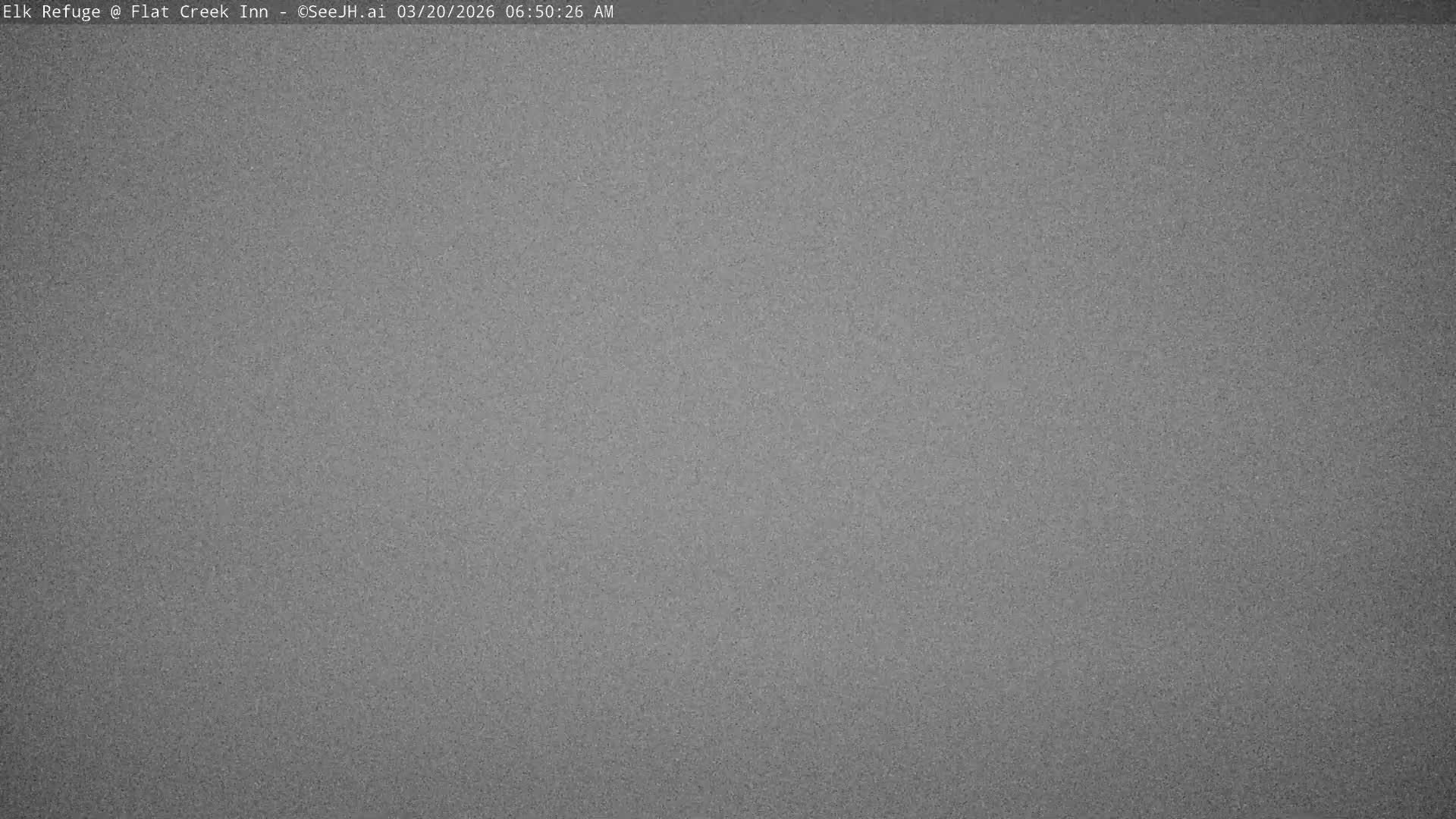 Jackson, Elk Refuge & Teton Mountains from Flat Creek Inn Live Cam - Jackson, Teton, Wyoming, USA