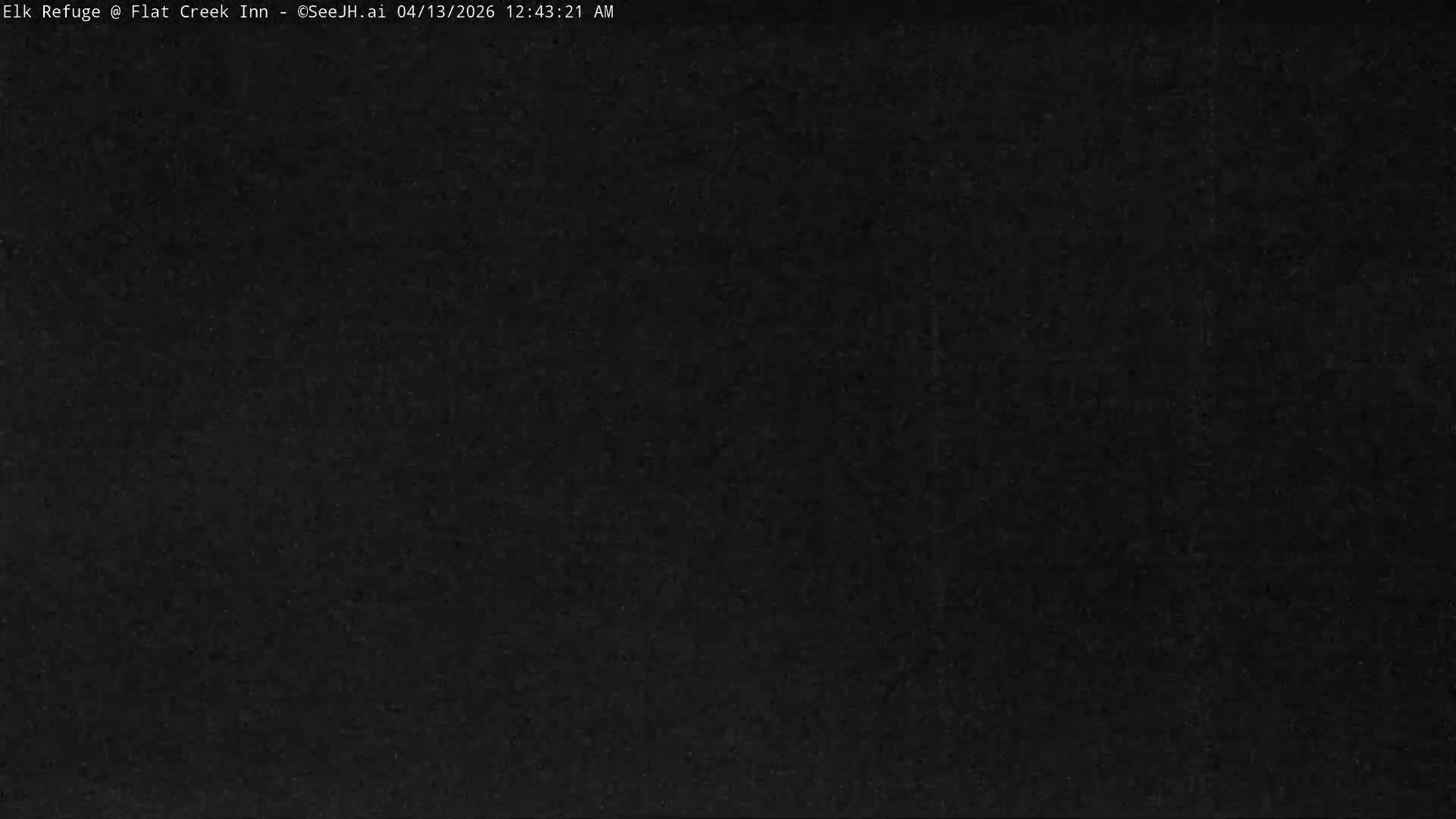 Jackson, Elk Refuge & Teton Mountains from Flat Creek Inn Live Cam - Jackson, Teton, Wyoming, USA
