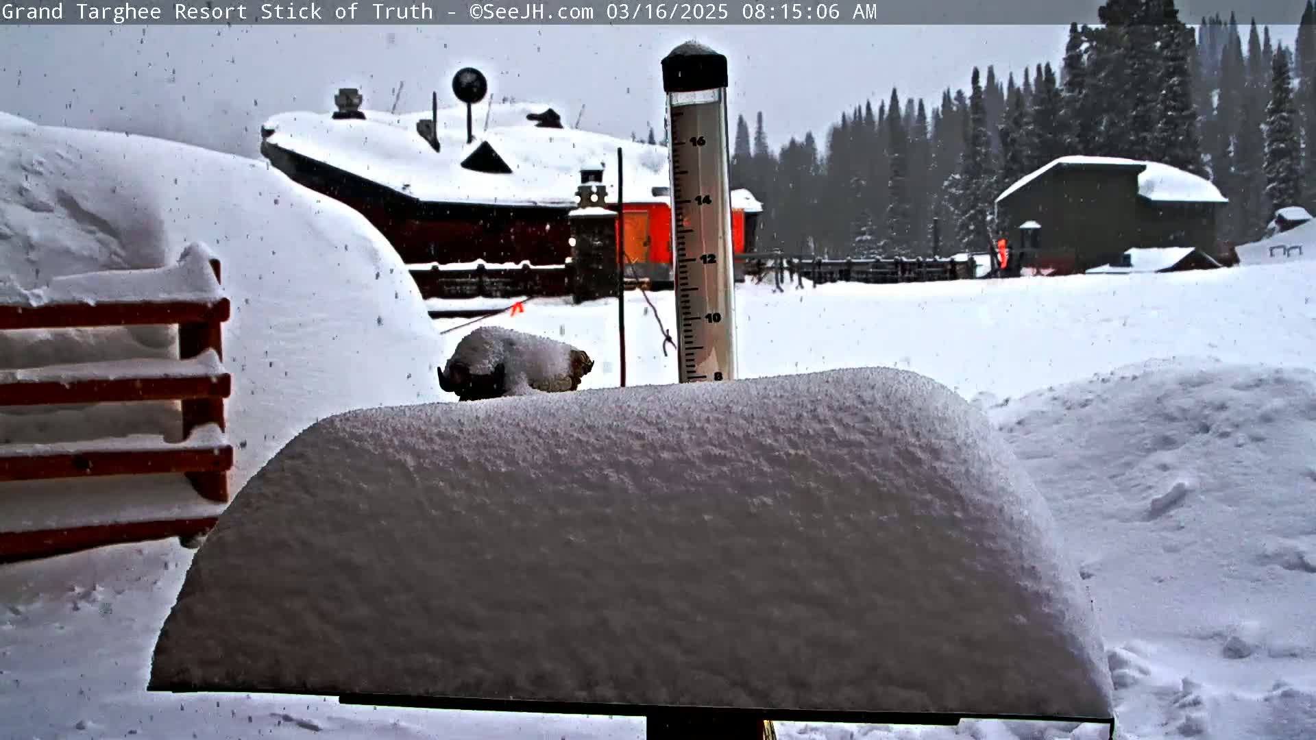 A snow-covered landscape with buildings in the background, a snow gauge indicating significant snowfall, and a wooden railing partially buried in snow during a snowstorm.