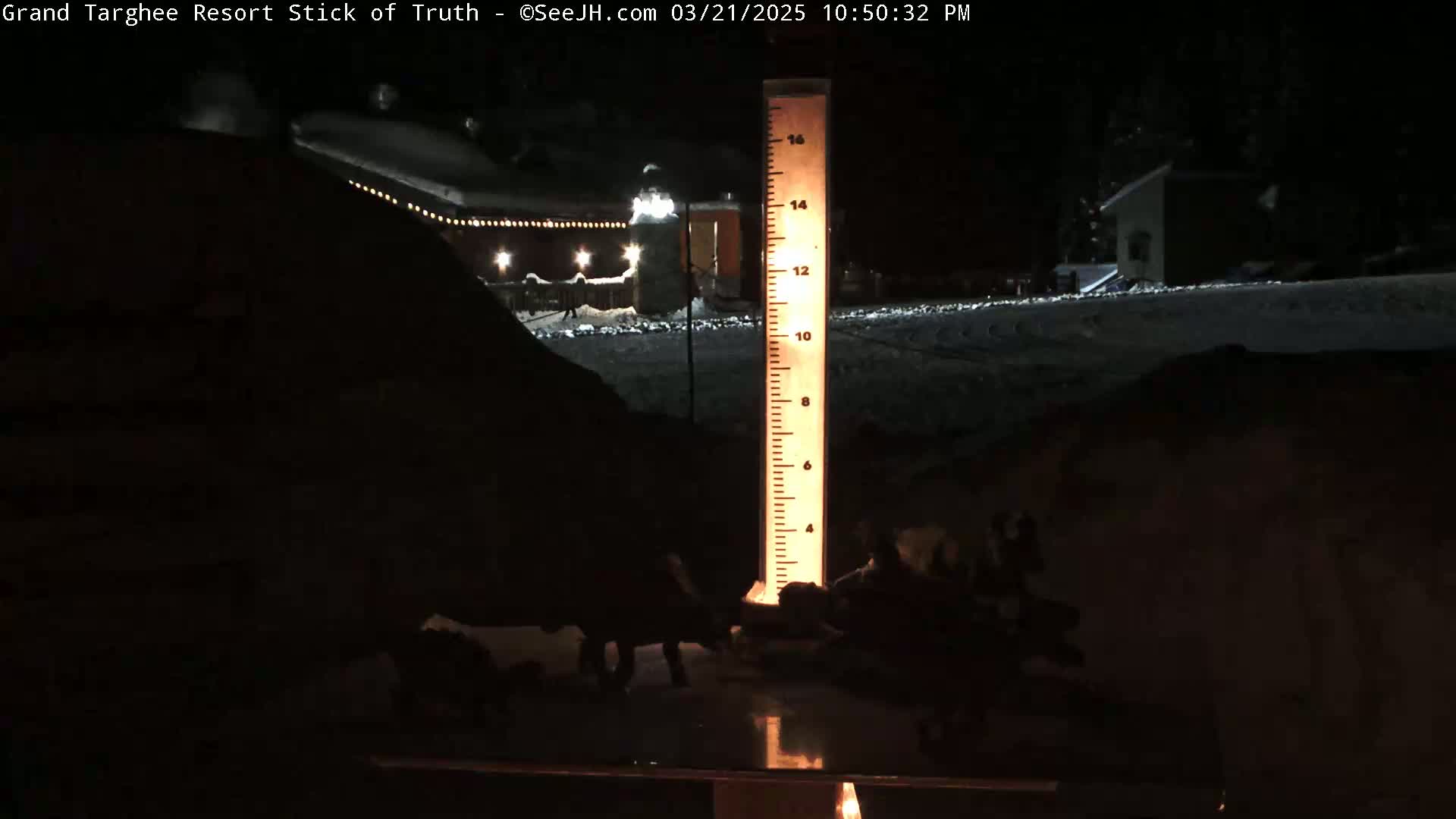 A nighttime snow scene shows a tall, illuminated measuring stick next to several dark, indistinct shapes that appear to be animals near a snow-covered ground.