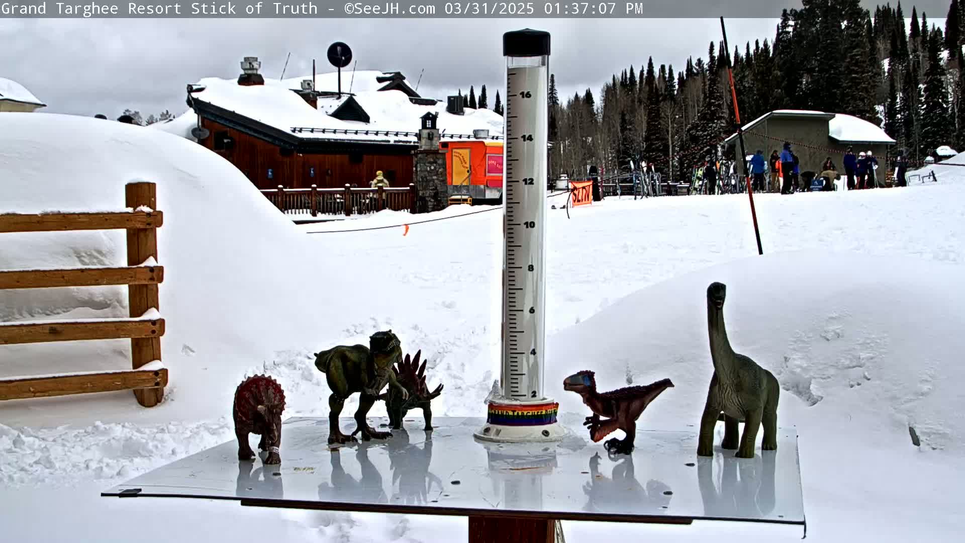 A snow-covered outdoor scene shows a snow gauge surrounded by several small dinosaur figurines near a snow-laden building and ski area under an overcast sky.