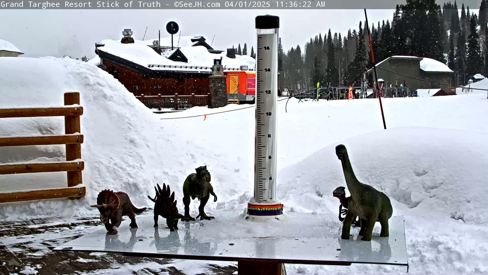 Snow is falling on a snowy scene with several plastic dinosaur toys arranged on a clear surface near a tall snow gauge in front of a snow-covered building.