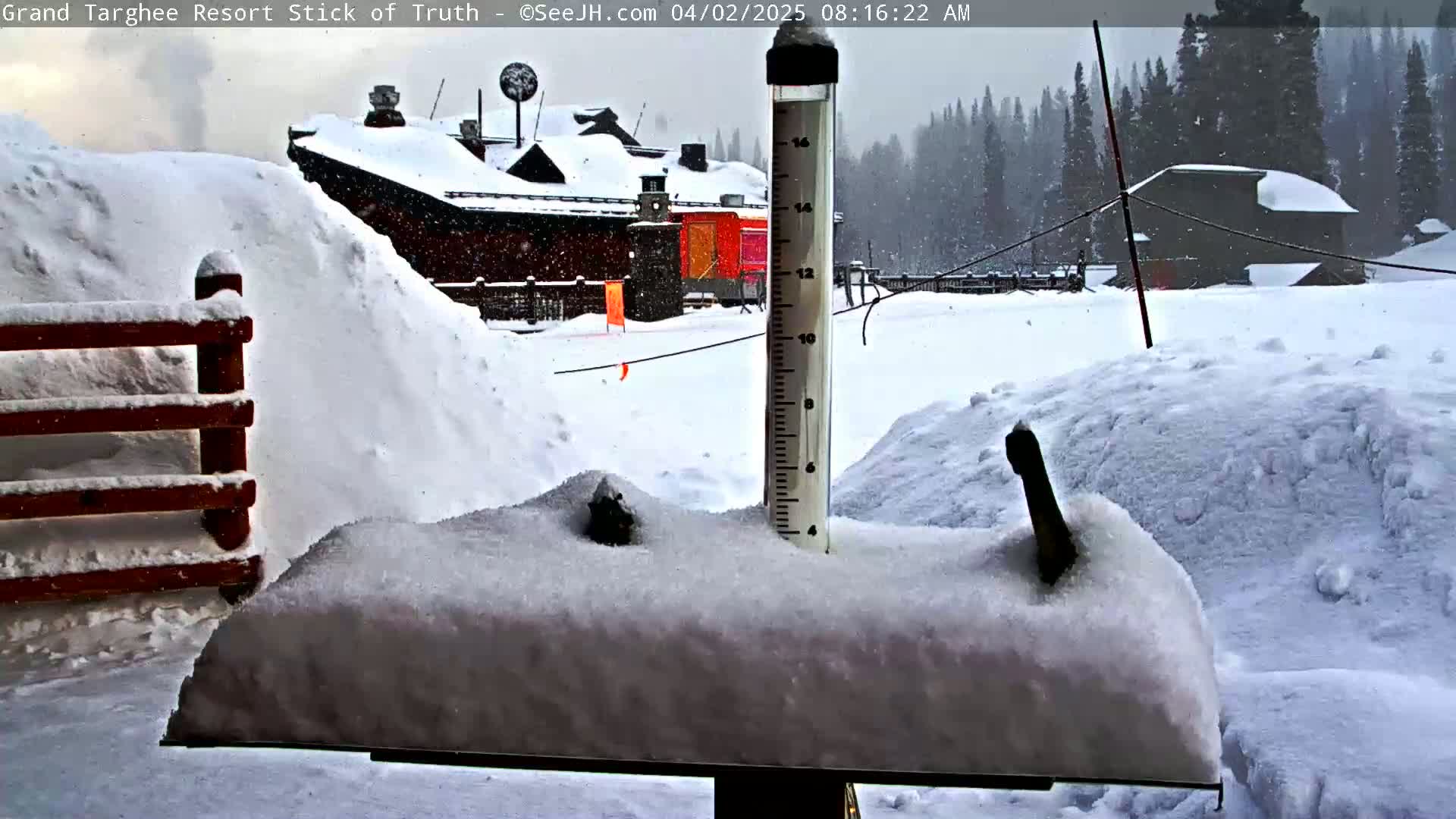 A snow-covered snow gauge sits atop a snow-covered surface in front of a snow-covered building and a line of snow-covered trees during a snowfall.