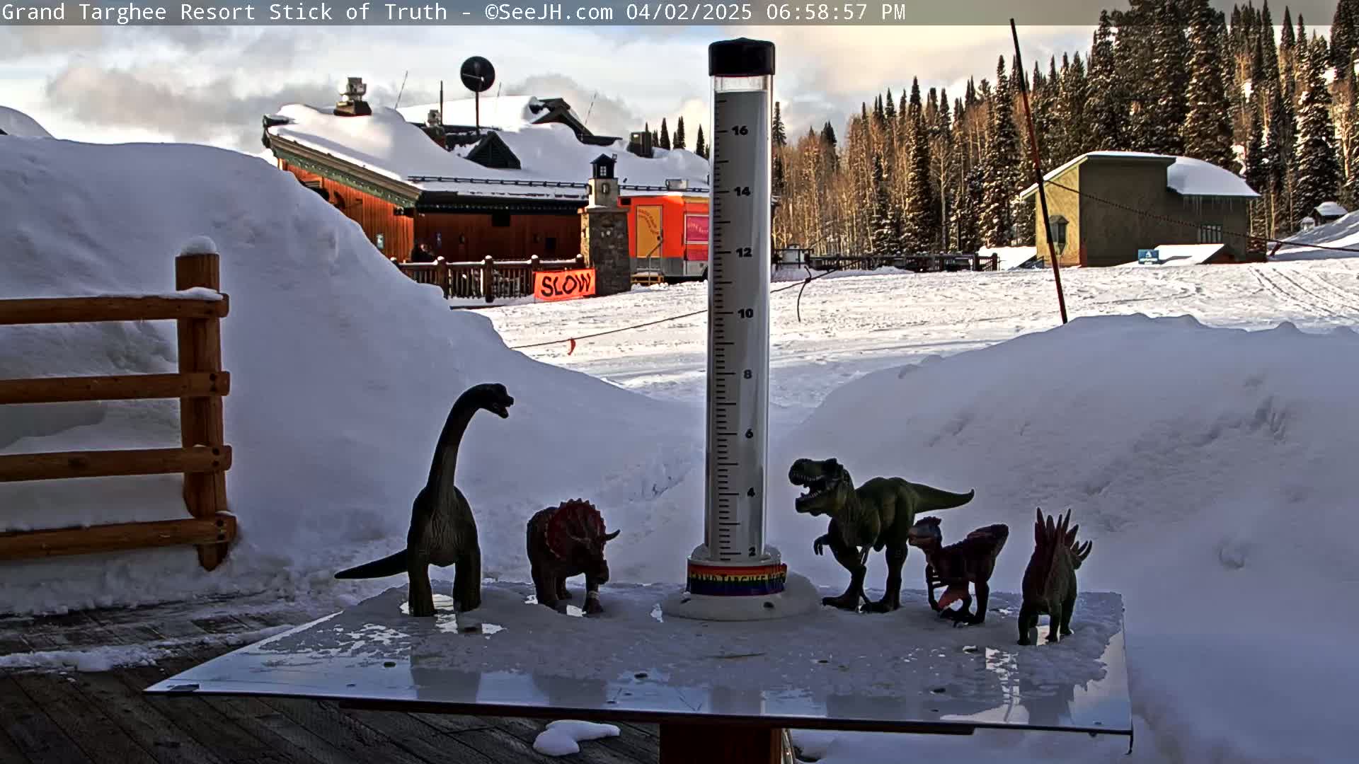 A snow-covered outdoor scene shows several plastic dinosaur toys arranged on a glass-topped table next to a snow gauge, with a partially visible building and snow-covered trees in the background under a partly sunny sky.