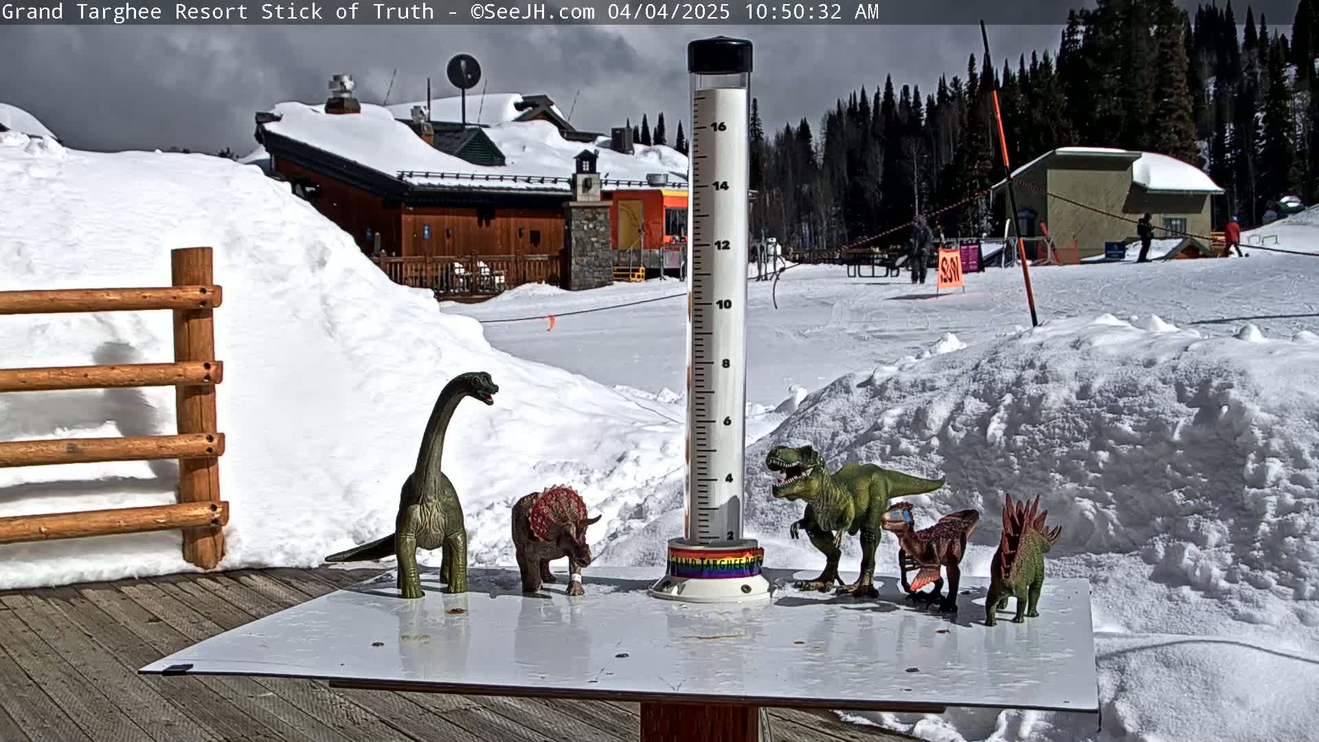 Several plastic dinosaur toys are arranged on a snow-covered surface near a snow-covered building and a snow gauge, under a partly cloudy sky.