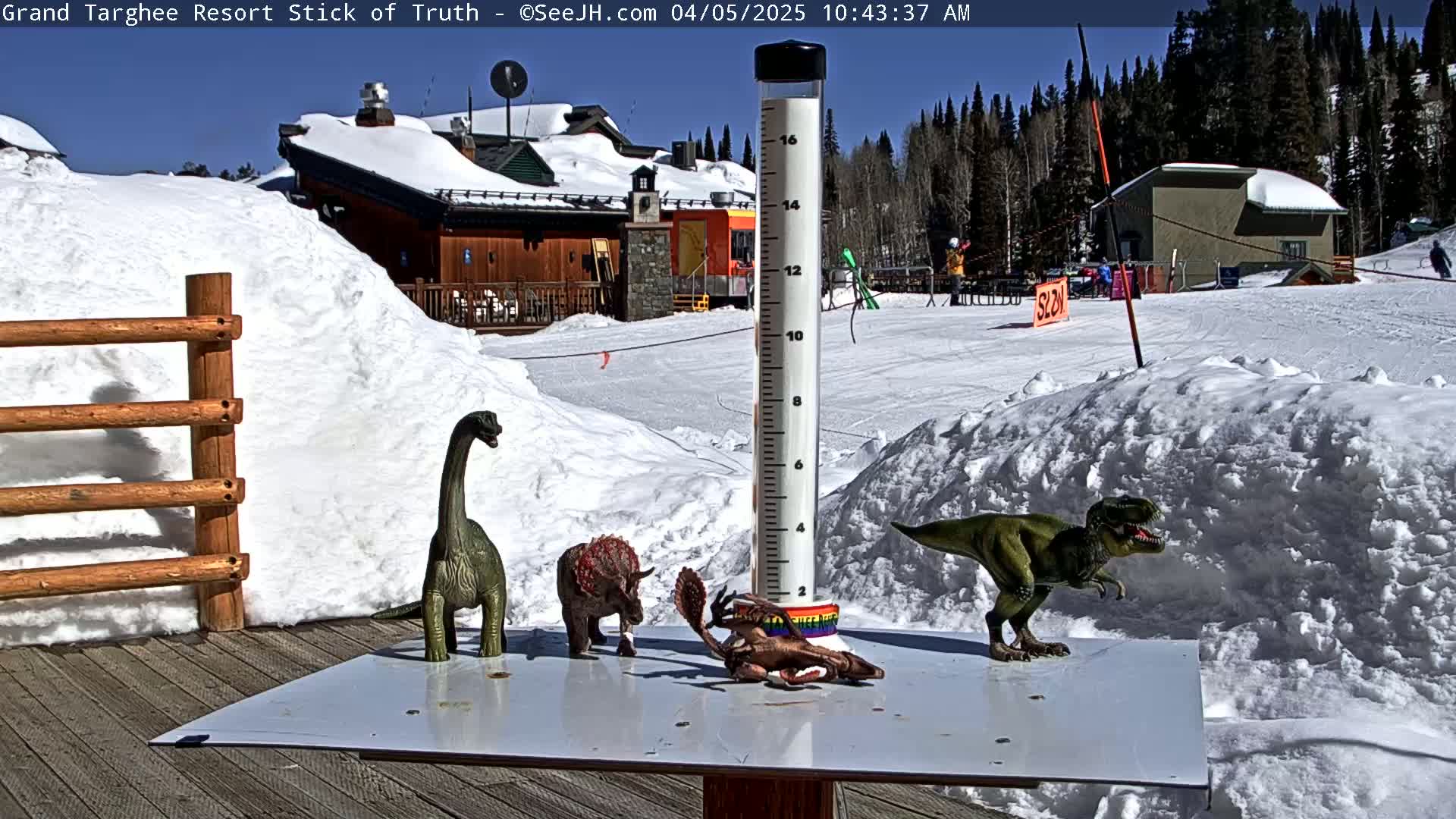 Three plastic dinosaur toys are positioned on a snow-covered deck in front of a snow-covered building on a sunny day.