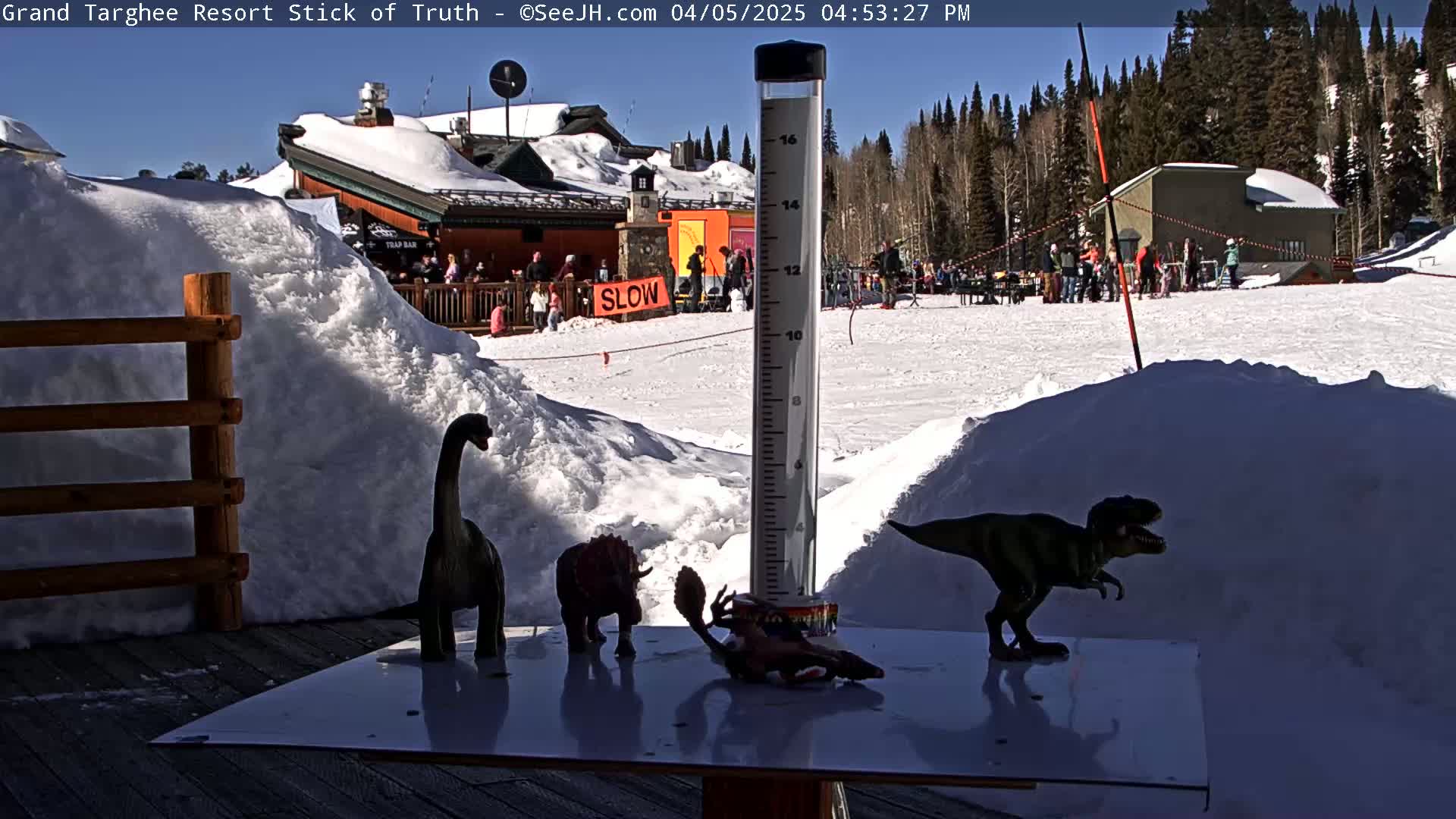 A sunny outdoor scene shows several plastic dinosaur toys arranged on a white surface next to a snow-covered area, with a snow-covered building and people in the background.