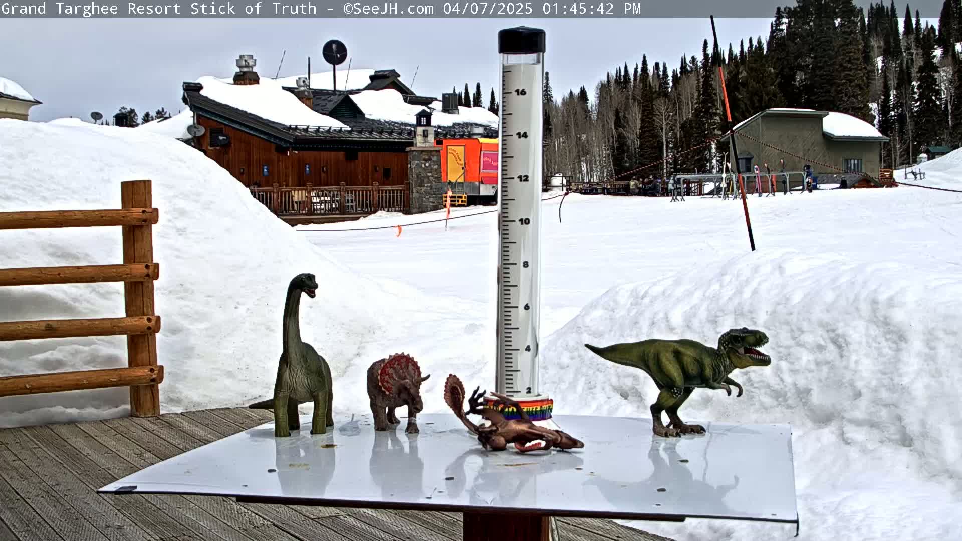 Several plastic dinosaur toys are arranged on a white table outside on a snowy day, near a snow-covered building and a snow gauge.