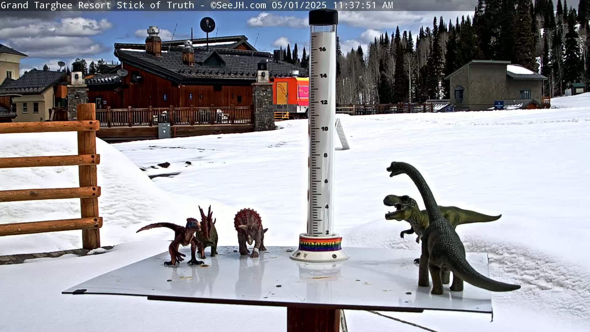 Several toy dinosaurs are arranged on a snow-covered surface next to a rain gauge in front of a snow-covered resort under a partly cloudy sky.