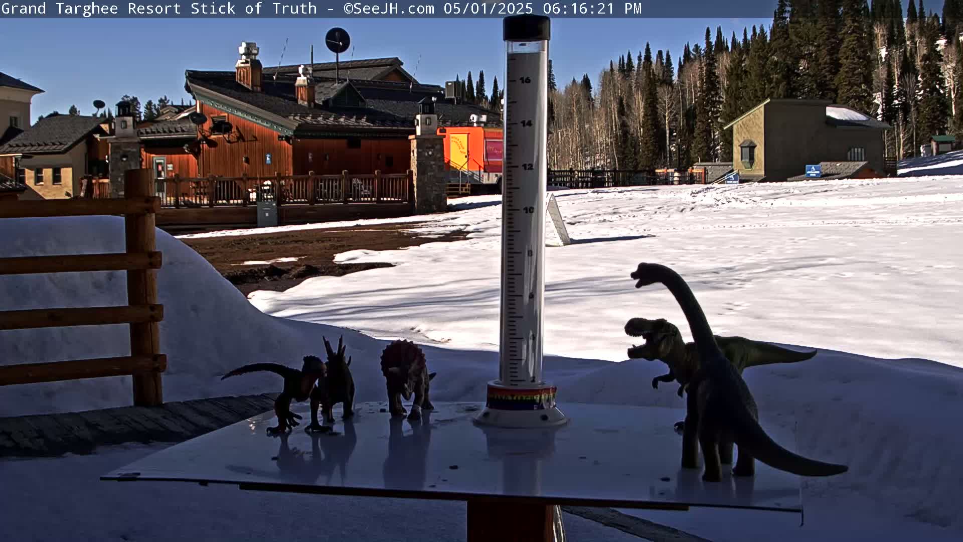 On a sunny day, several plastic dinosaurs are arranged on a table next to a snow-covered outdoor area with buildings and trees in the background.