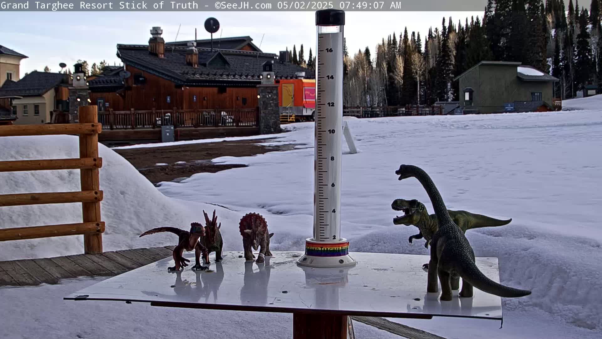 Three small dinosaur toys sit on a table next to a tall rain gauge in a snowy outdoor setting, with a building and trees visible in the background.