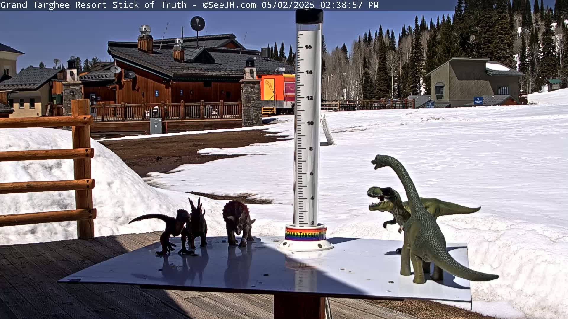 On a sunny day, several toy dinosaurs are arranged on a table next to a snow-covered area, with buildings and trees visible in the background.