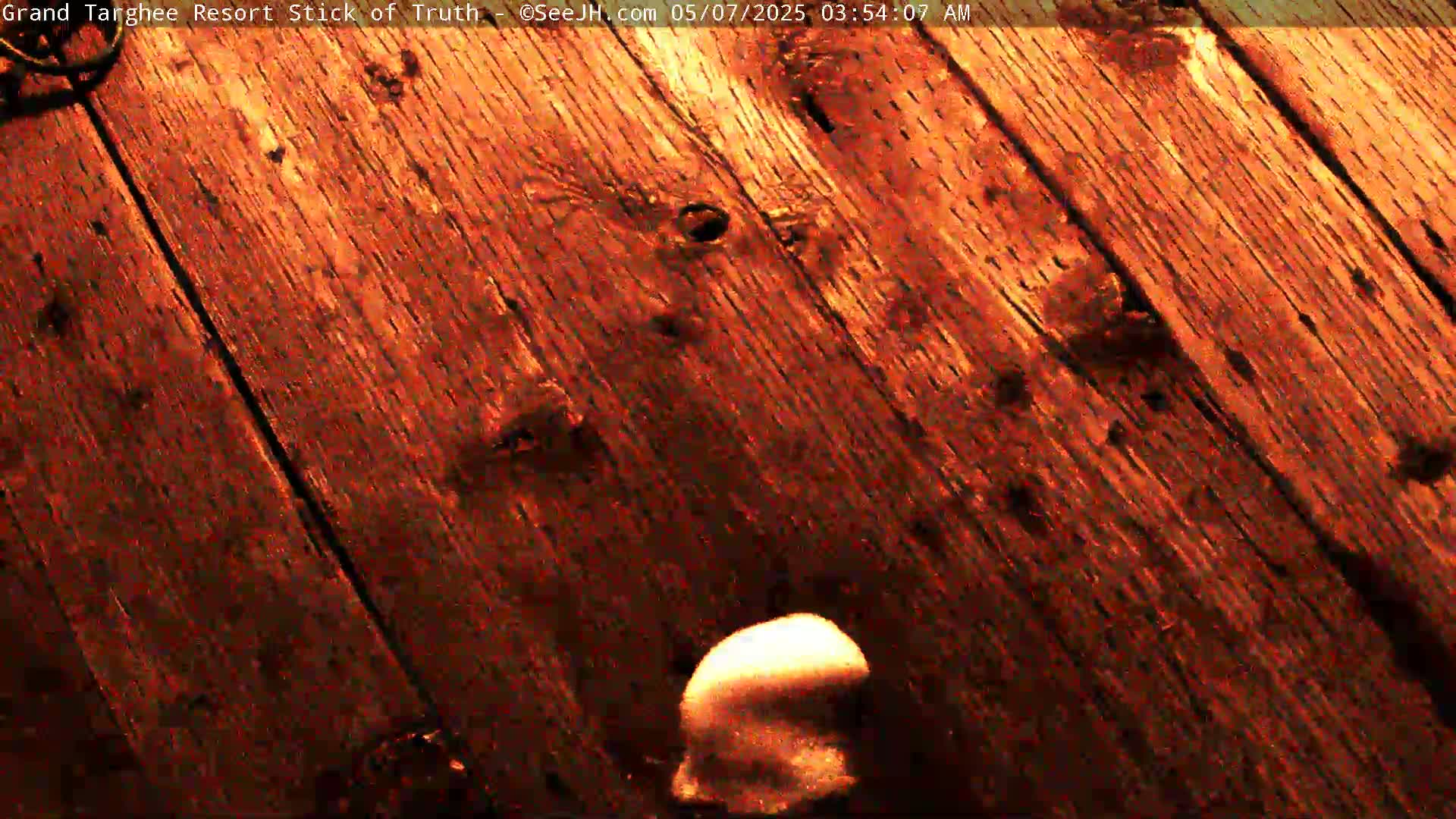 A mostly dark reddish-brown wooden surface, possibly a deck or floor, is shown with a light-colored, possibly white, object at the bottom right.