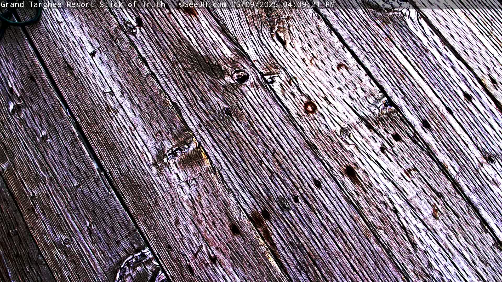 A weathered wooden surface shows diagonal planks with numerous knots and holes.