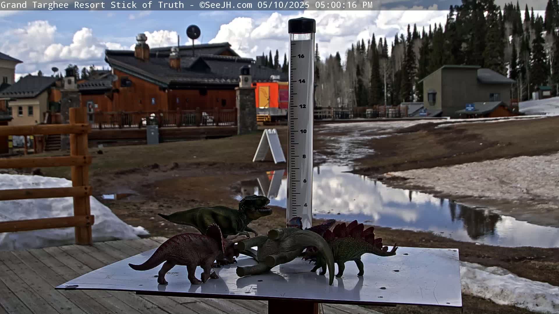 Several toy dinosaurs are arranged on a flat surface near a rain gauge, with a partially muddy and snow-covered area visible behind it, under partly cloudy skies.