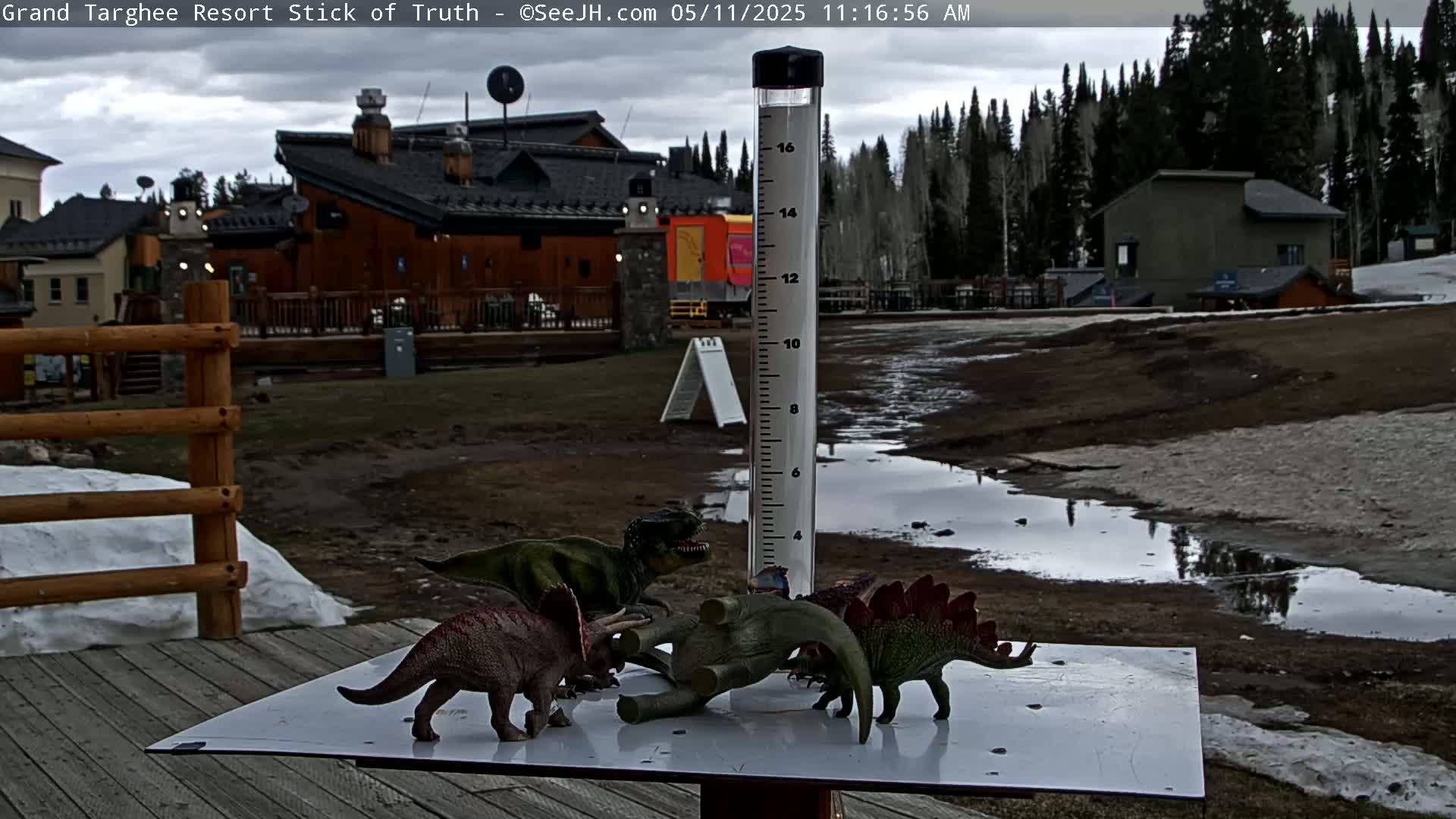 Several toy dinosaurs are arranged on a table next to a rain gauge in a muddy, partially snow-covered area near a resort under an overcast sky.