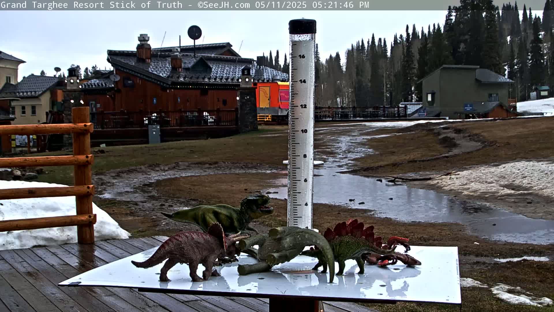 Several plastic dinosaur toys are arranged on a table outdoors near a wooden fence, with melting snow and puddles on the ground in front of a building complex, under an overcast sky.