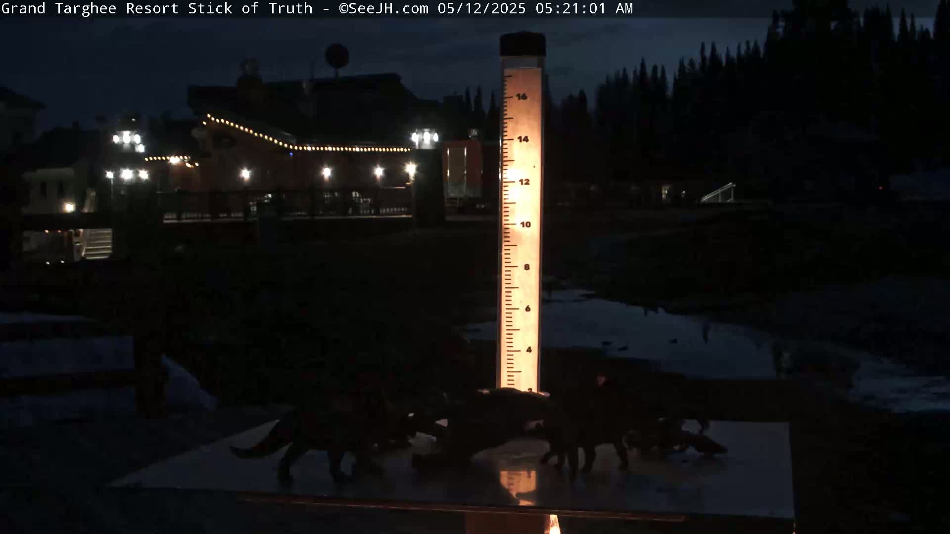 At night, several dark dinosaur figurines are arranged around a tall, illuminated measuring device in front of a dimly lit building with string lights.