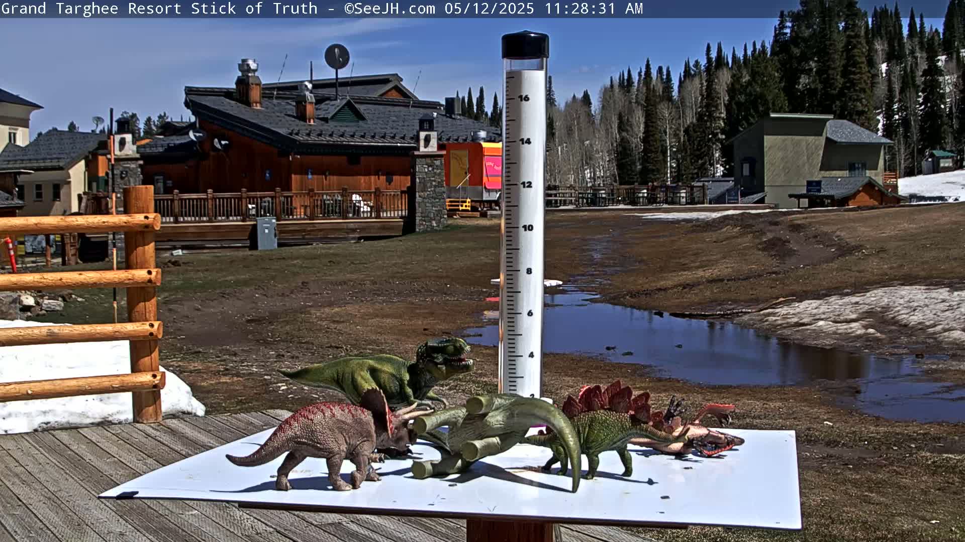 Several toy dinosaurs are arranged around a rain gauge on a deck overlooking a muddy area with a small puddle and snow patches, under a sunny sky.