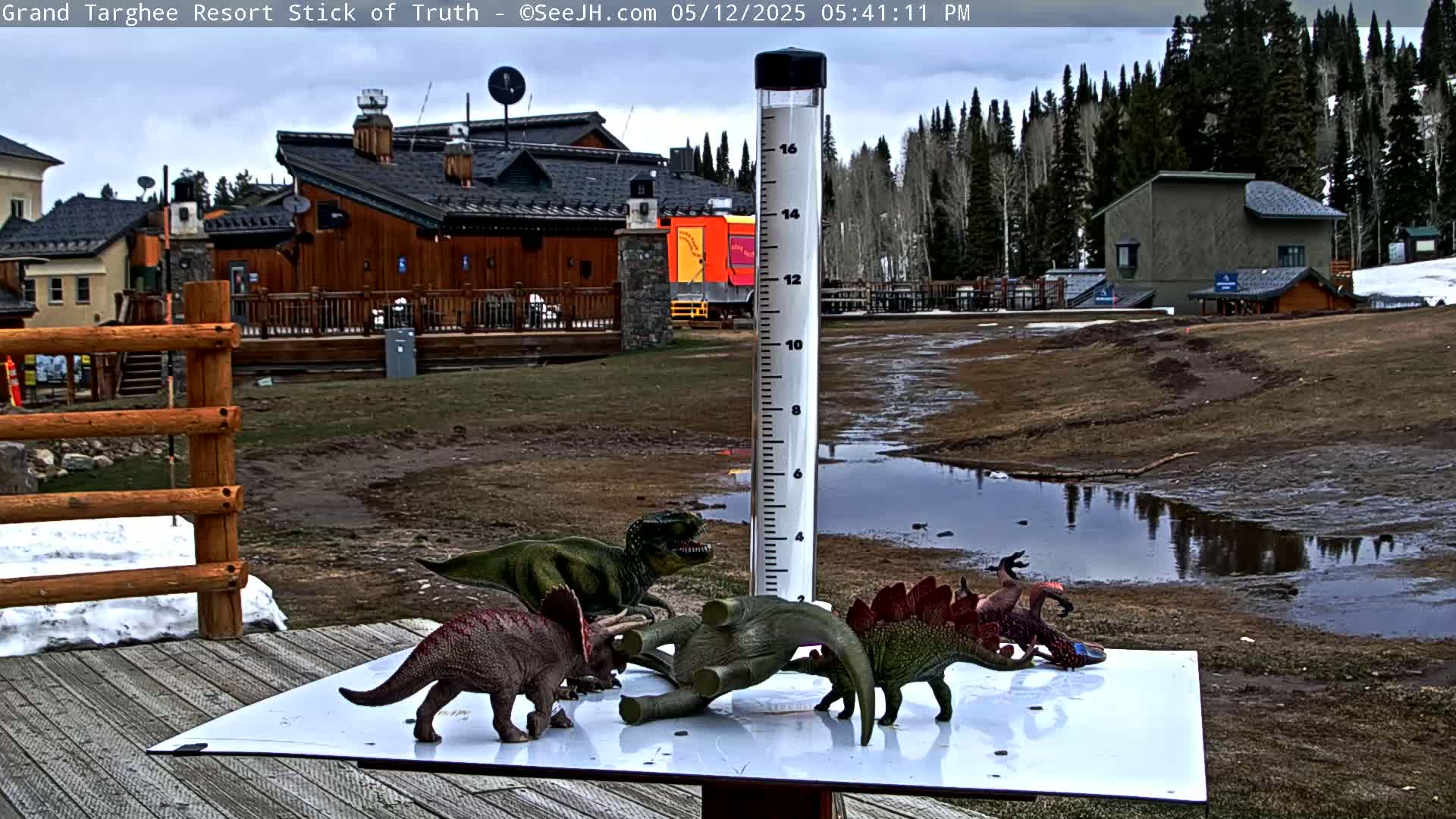 Several plastic dinosaur toys are arranged on a white surface near a rain gauge in front of a building complex and a wooded area, under an overcast sky.