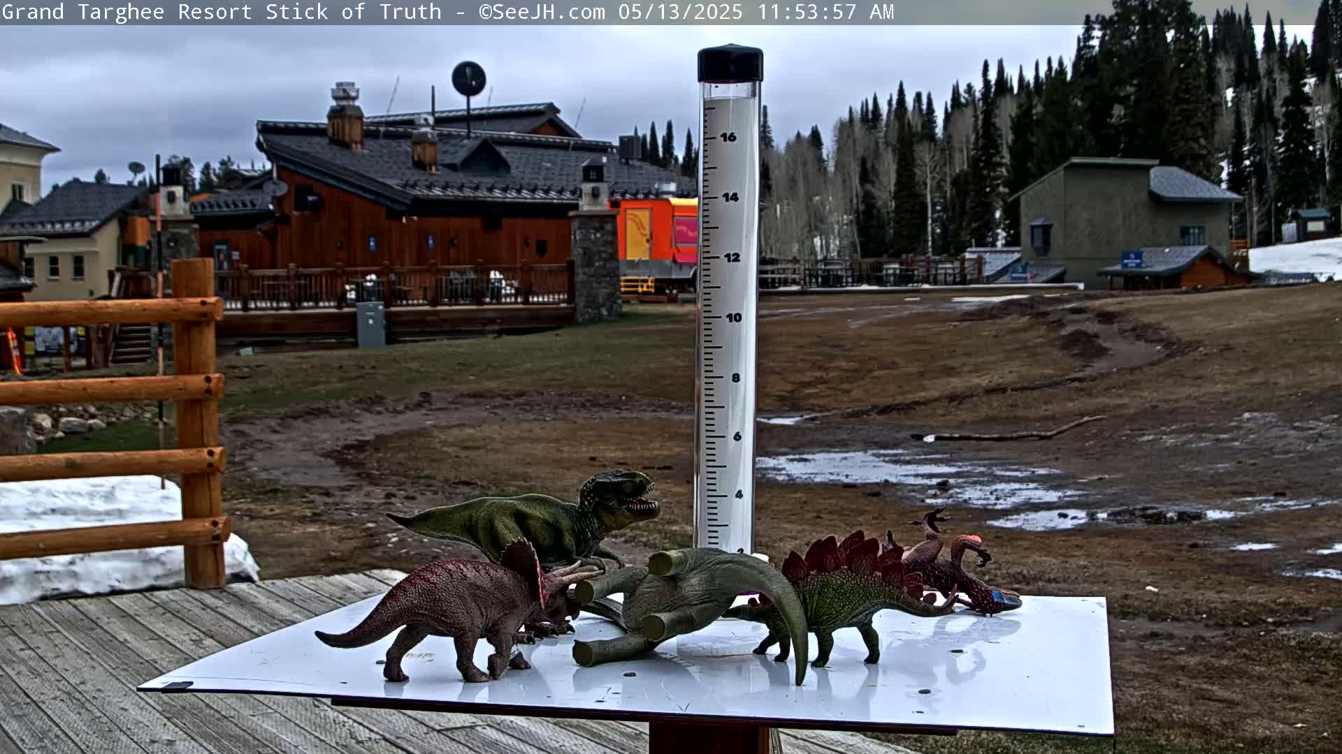 Teton, Grand Targhee Ski Resort Stick of Truth Live Cam - Alta, Teton, Wyoming, USA