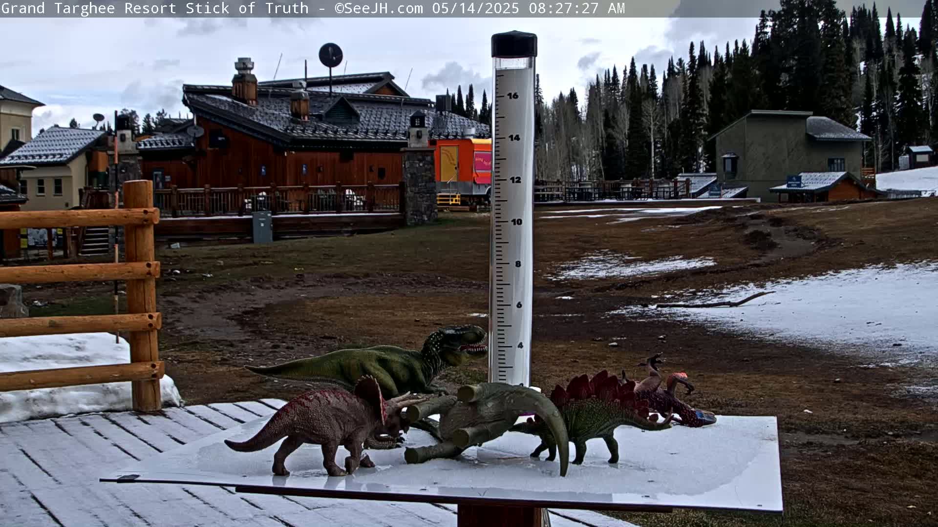 A snow-covered outdoor scene shows several plastic dinosaur toys arranged around a rain gauge near a resort building under a partly cloudy sky.