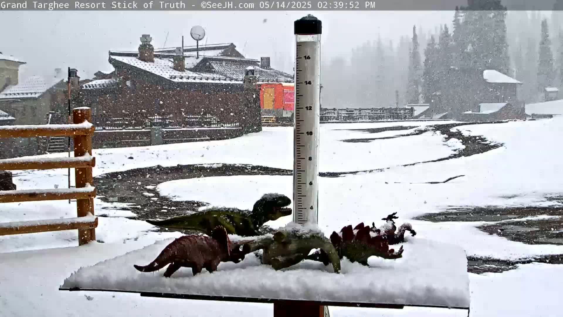 A snow-covered scene shows several plastic dinosaurs arranged on a snow-covered surface next to a rain gauge, with a snow-covered wooden fence and buildings in the background during a snowfall.