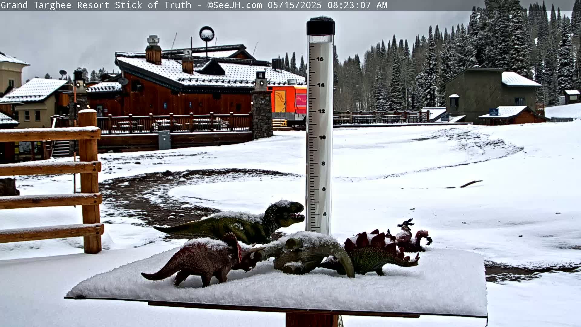 Several toy dinosaurs covered in snow are sitting on a snow-covered surface next to a rain gauge in front of snow-covered buildings and trees under an overcast sky.