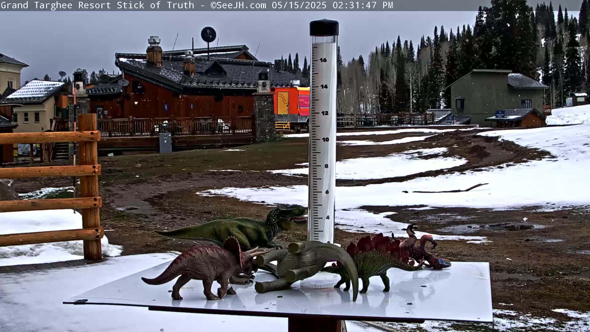 Several plastic dinosaur toys are arranged on a white surface next to a rain gauge in a snowy, partially muddy outdoor area with buildings and trees in the background under a lightly overcast sky.