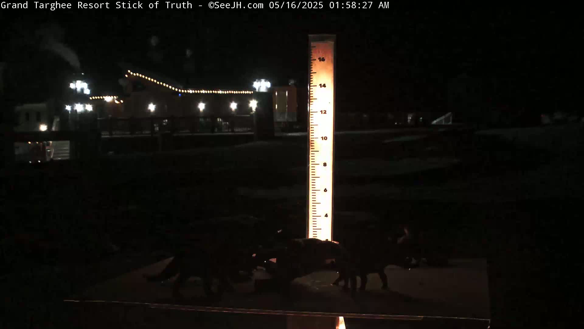 At night, several dark figures cluster around a lit, tall, numbered measuring stick in front of a building with lights.
