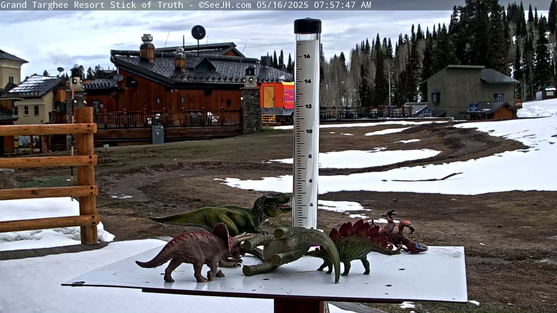 Several plastic dinosaur toys are arranged around a rain gauge in a snowy, partially muddy area, with a wooden building and a forest in the background under a cloudy sky.