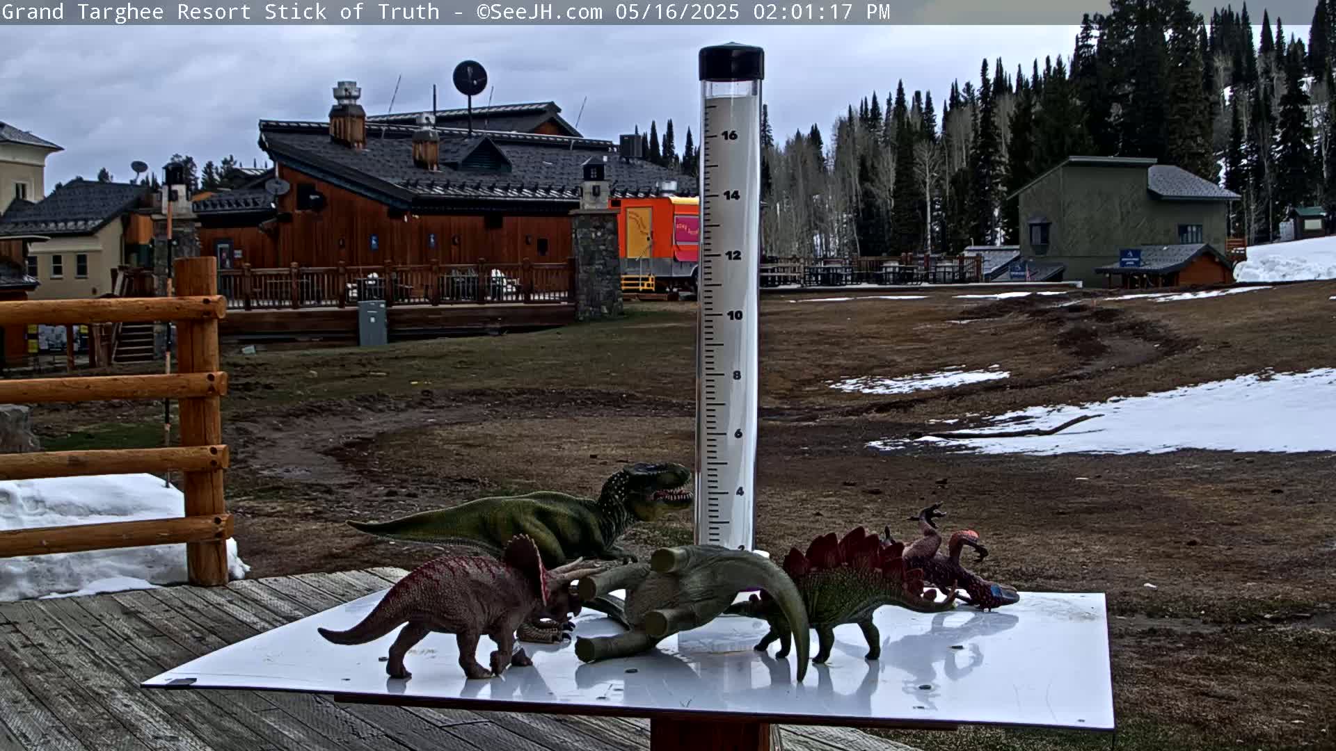 Several plastic dinosaur toys are arranged around a rain gauge on a wooden deck, with a partially snow-covered, brown field and buildings in the background under a cloudy sky.