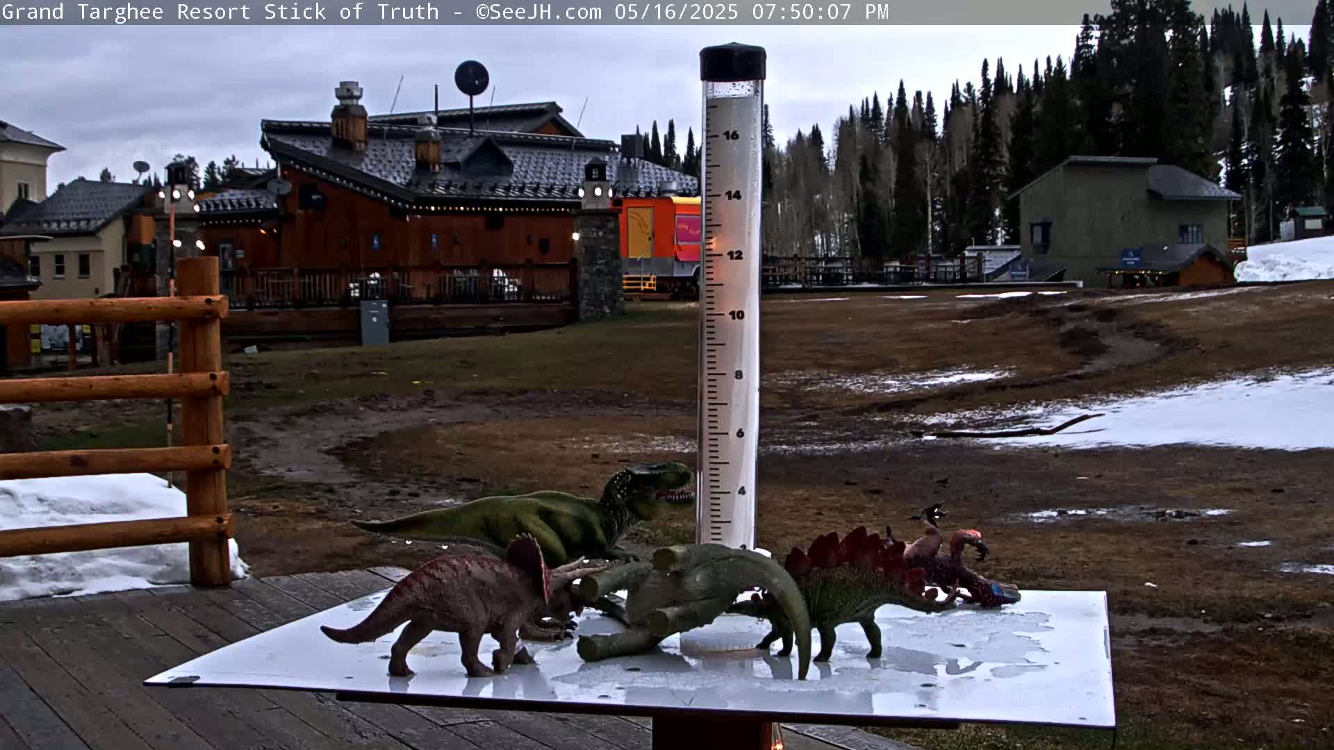 Teton, Grand Targhee Ski Resort Stick of Truth Live Cam - Alta, Teton, Wyoming, USA