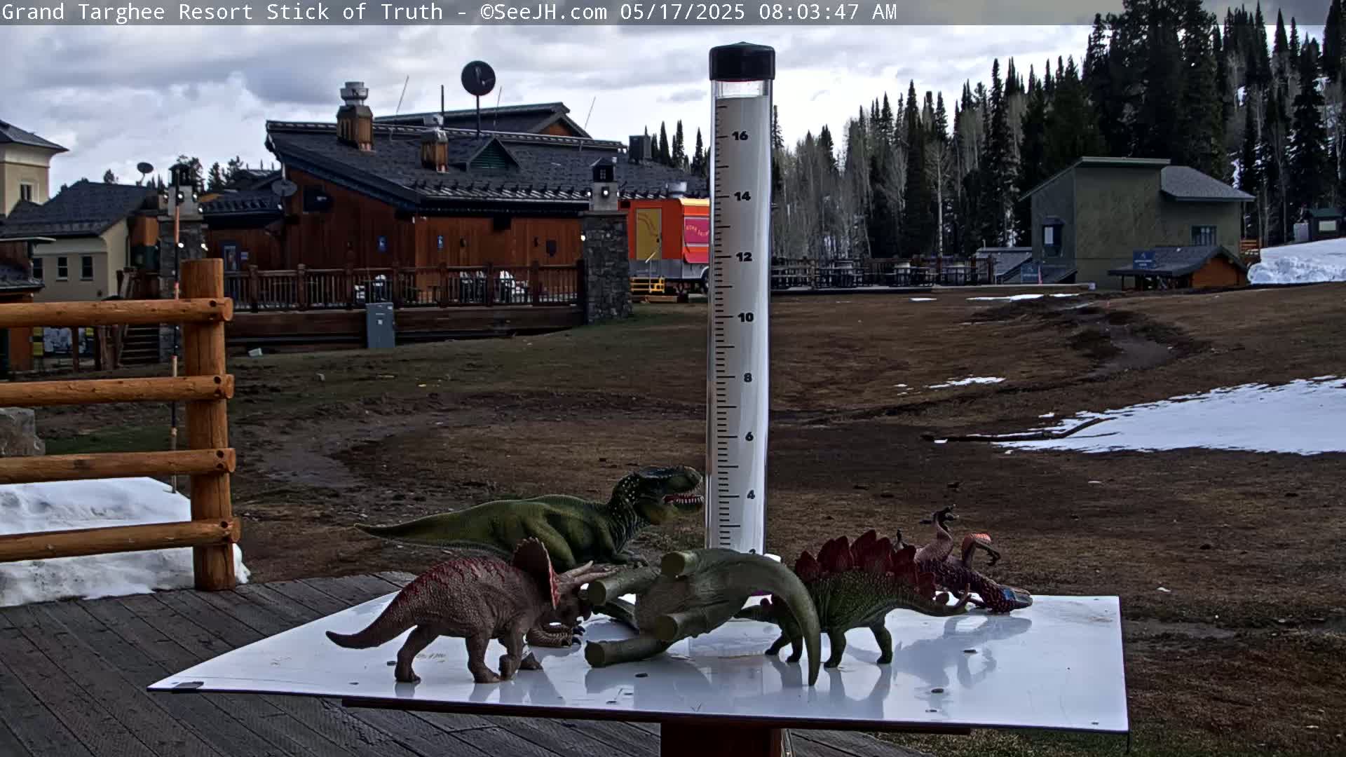 Several toy dinosaurs are arranged on a white surface near a wooden fence, with a rain gauge and a building in the background under a cloudy sky.